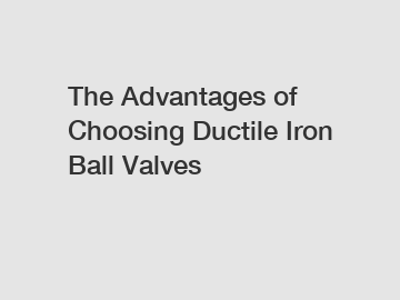 The Advantages of Choosing Ductile Iron Ball Valves