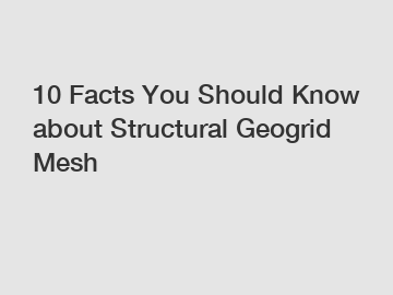 10 Facts You Should Know about Structural Geogrid Mesh