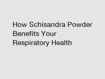 How Schisandra Powder Benefits Your Respiratory Health