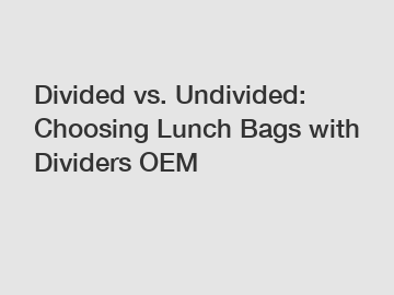 Divided vs. Undivided: Choosing Lunch Bags with Dividers OEM