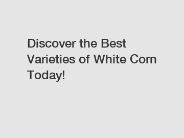Discover the Best Varieties of White Corn Today!