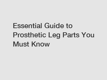 Essential Guide to Prosthetic Leg Parts You Must Know