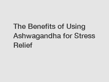 The Benefits of Using Ashwagandha for Stress Relief