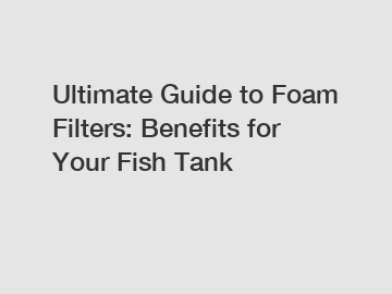 Ultimate Guide to Foam Filters: Benefits for Your Fish Tank