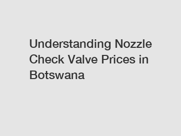 Understanding Nozzle Check Valve Prices in Botswana