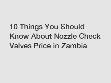 10 Things You Should Know About Nozzle Check Valves Price in Zambia