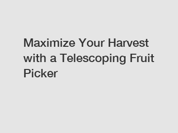 Maximize Your Harvest with a Telescoping Fruit Picker