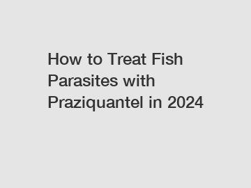 How to Treat Fish Parasites with Praziquantel in 2024 How to Treat Fish Parasites with Praziquantel in 2024