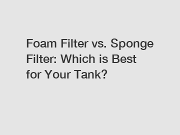 Foam Filter vs. Sponge Filter: Which is Best for Your Tank?