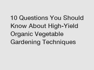 10 Questions You Should Know About High-Yield Organic Vegetable Gardening Techniques