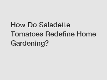 How Do Saladette Tomatoes Redefine Home Gardening?