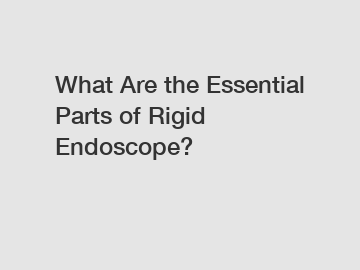 What Are the Essential Parts of Rigid Endoscope?