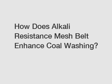 How Does Alkali Resistance Mesh Belt Enhance Coal Washing?