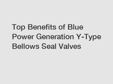 Top Benefits of Blue Power Generation Y-Type Bellows Seal Valves
