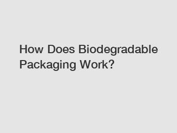 How Does Biodegradable Packaging Work?