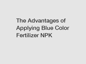 The Advantages of Applying Blue Color Fertilizer NPK The Advantages of Applying Blue Color Fertilizer NPK