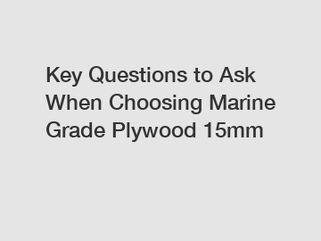 Key Questions to Ask When Choosing Marine Grade Plywood 15mm