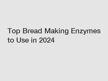 Top Bread Making Enzymes to Use in 2024