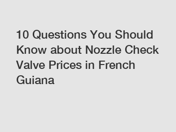 10 Questions You Should Know about Nozzle Check Valve Prices in French Guiana