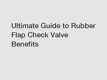 Ultimate Guide to Rubber Flap Check Valve Benefits