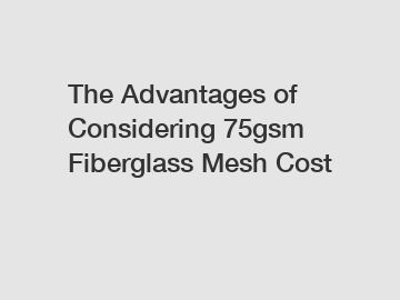 The Advantages of Considering 75gsm Fiberglass Mesh Cost