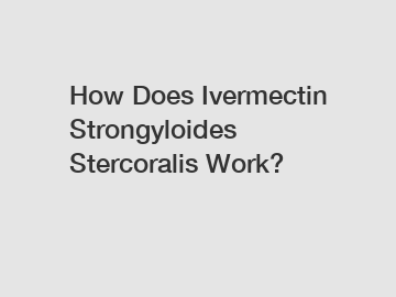 How Does Ivermectin Strongyloides Stercoralis Work?