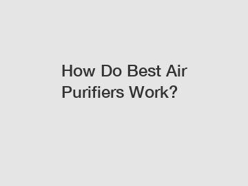 How Do Best Air Purifiers Work?