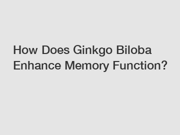 How Does Ginkgo Biloba Enhance Memory Function?