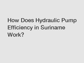 How Does Hydraulic Pump Efficiency in Suriname Work?