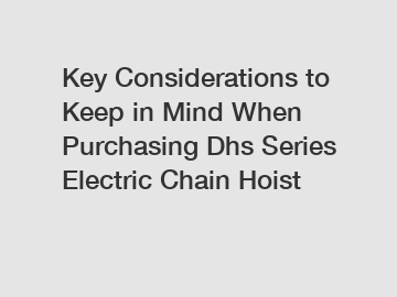 Key Considerations to Keep in Mind When Purchasing Dhs Series Electric Chain Hoist