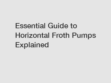 Essential Guide to Horizontal Froth Pumps Explained