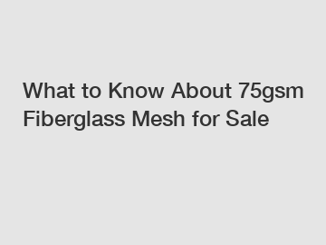 What to Know About 75gsm Fiberglass Mesh for Sale