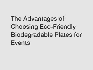 The Advantages of Choosing Eco-Friendly Biodegradable Plates for Events