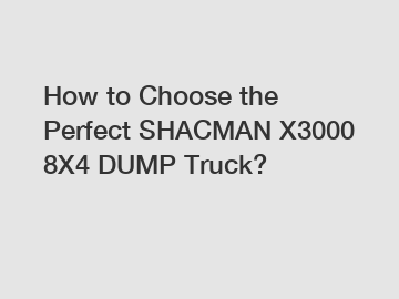 How to Choose the Perfect SHACMAN X3000 8X4 DUMP Truck?