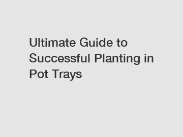 Ultimate Guide to Successful Planting in Pot Trays