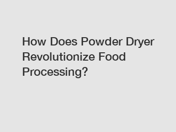 How Does Powder Dryer Revolutionize Food Processing?