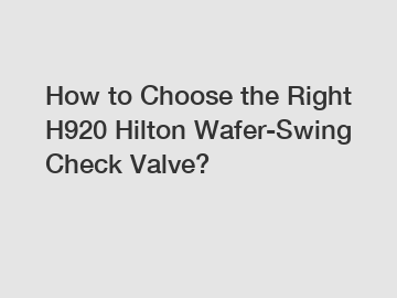 How to Choose the Right H920 Hilton Wafer-Swing Check Valve?