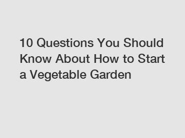 10 Questions You Should Know About How to Start a Vegetable Garden