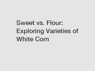 Sweet vs. Flour: Exploring Varieties of White Corn
