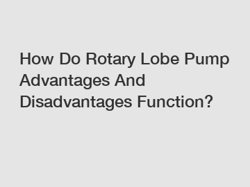 How Do Rotary Lobe Pump Advantages And Disadvantages Function?