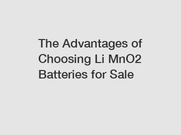 The Advantages of Choosing Li MnO2 Batteries for Sale