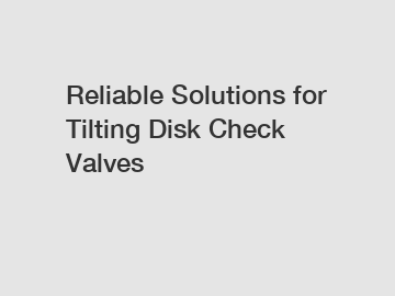 Reliable Solutions for Tilting Disk Check Valves