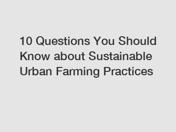 10 Questions You Should Know about Sustainable Urban Farming Practices