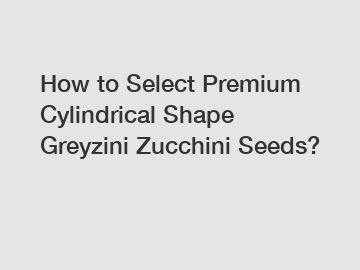 How to Select Premium Cylindrical Shape Greyzini Zucchini Seeds?