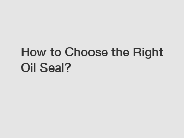 How to Choose the Right Oil Seal?