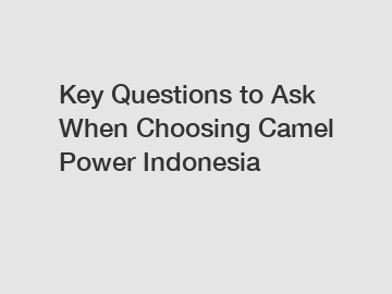 Key Questions to Ask When Choosing Camel Power Indonesia
