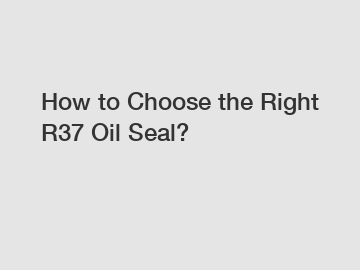 How to Choose the Right R37 Oil Seal?