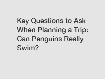 Key Questions to Ask When Planning a Trip: Can Penguins Really Swim?