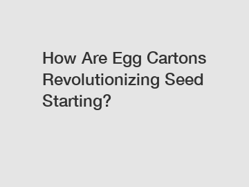 How Are Egg Cartons Revolutionizing Seed Starting?
