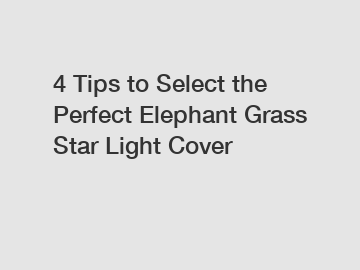 4 Tips to Select the Perfect Elephant Grass Star Light Cover